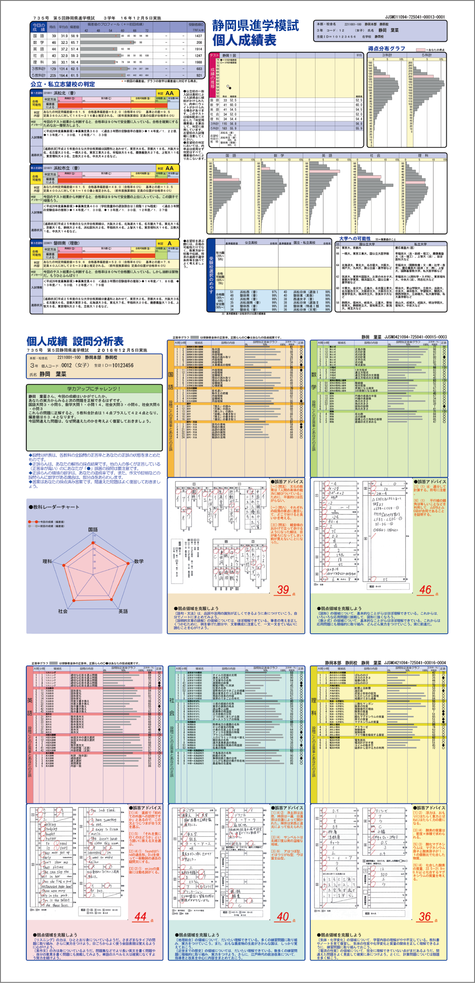 個人成績表のサンプル